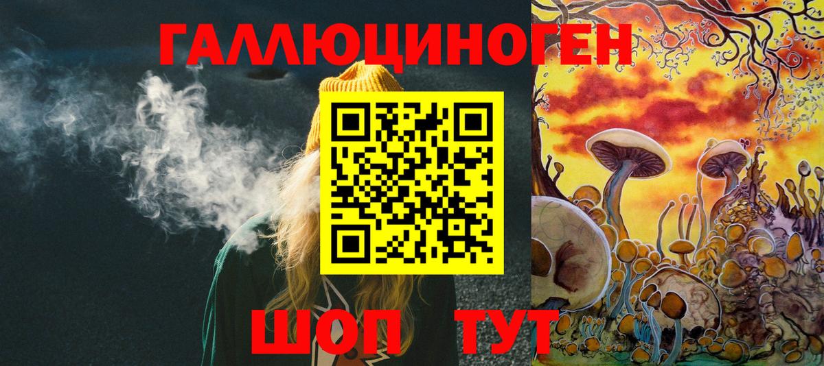 Псилоцибиновые грибы Cubensis Егорьевск