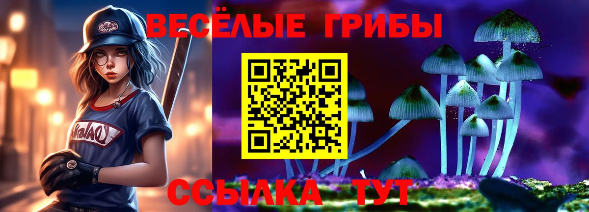Галлюциногенные грибы мицелий  Вход с VPN  наркотики  Егорьевск 